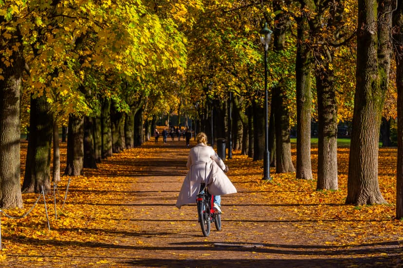 Neighborhood showcase 2